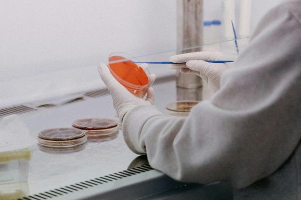 Laboratóriumok tervezése és kivitelezése: a hatékony működés alapjai